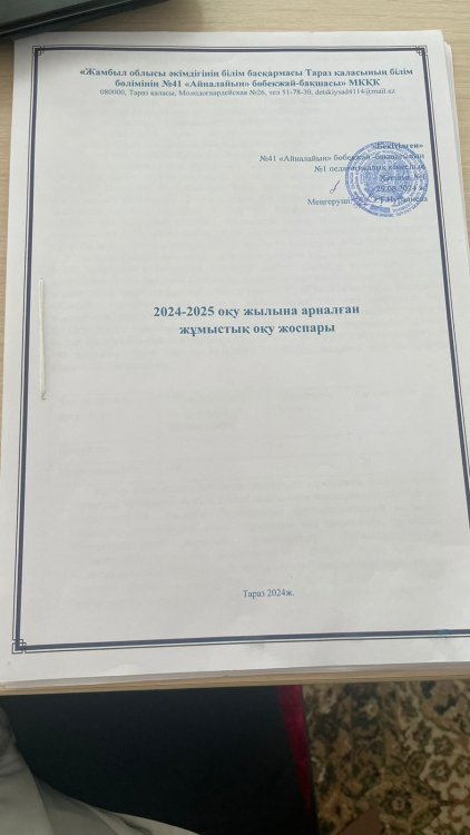 2024-2025 оқу жылына арналған жұмыстық оқу жоспары
